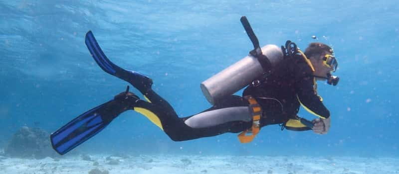 Los Cabos: 3-Hour Introductory Scuba Diving Adventure - Price and Value: What You Pay vs. What You’ll Still Need