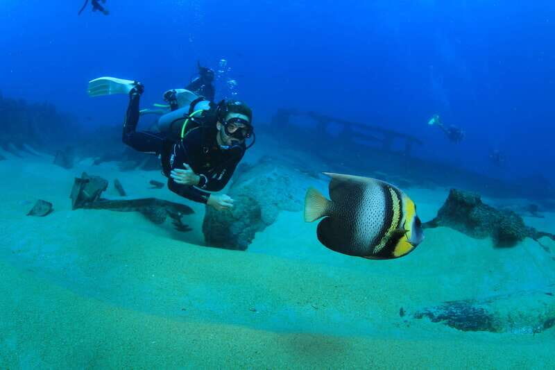Los Cabos: 3-Hour Introductory Scuba Diving Adventure - Who Should Book This, and Who Should Skip