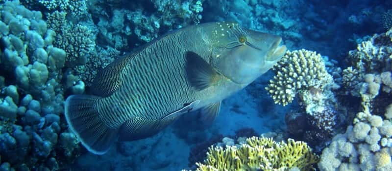 Los Cabos: 3-Hour Introductory Scuba Diving Adventure - Your Instructor and Small-Group Advantage (Up to 6 People)
