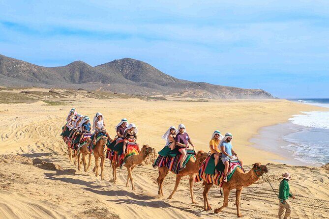 Los Cabos 3 in 1 Adventure: Camel Ride, Lunch and Arch Boat Tour - Key points before you go