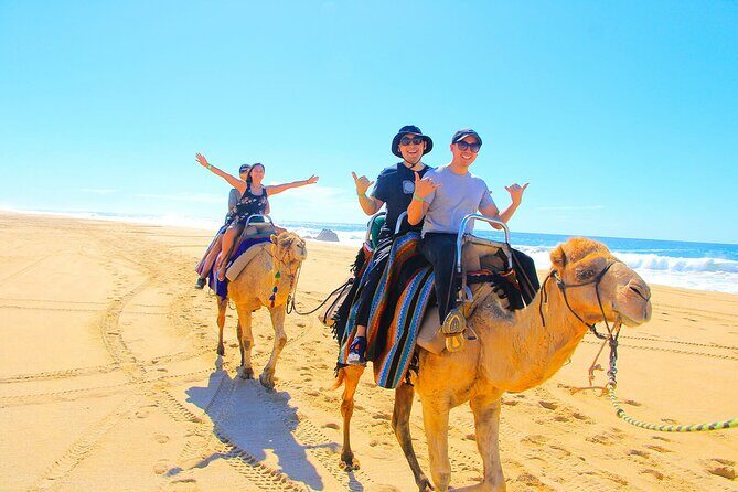 Los Cabos 3 in 1 Adventure: Camel Ride, Lunch and Arch Boat Tour - What you get for the price (and what costs extra)