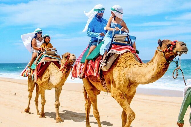 Los Cabos 3 in 1 Adventure: Camel Ride, Lunch and Arch Boat Tour - Transparent boat to El Arco: the 45-minute Arch moment