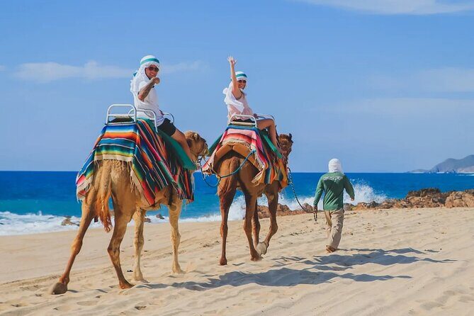 Los Cabos 3 in 1 Adventure: Camel Ride, Lunch and Arch Boat Tour - Tequila tasting and the 18+ alcohol rule