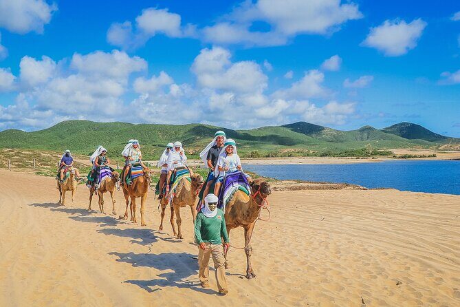 Los Cabos 3 in 1 Adventure: Camel Ride, Lunch and Arch Boat Tour - Kids club on the day: what families get