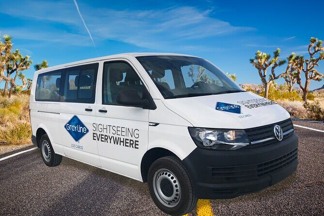 Los Cabos Airport One Way Shuttle Only Arrival - Tips to Make the Arrival Hour Less Painful
