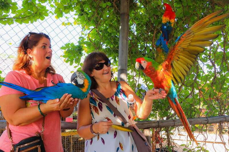 Los Cabos: Animal Encounter & Aqua Park Adventure - Key Points You’ll Care About