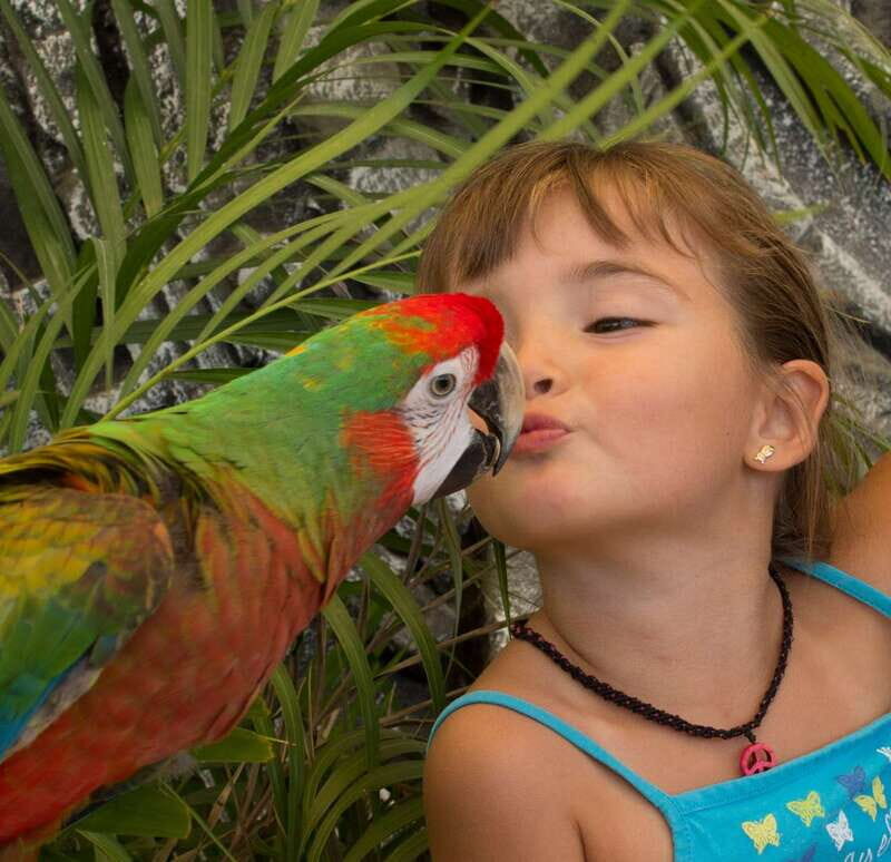 Los Cabos: Animal Encounter & Aqua Park Adventure - Who Will Love This Tour Most