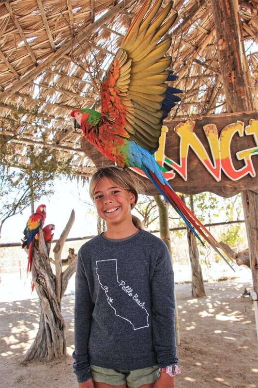 Los Cabos: Animal Encounter & Aqua Park Adventure - What This Los Cabos Tour Really Is (And Who It Fits)