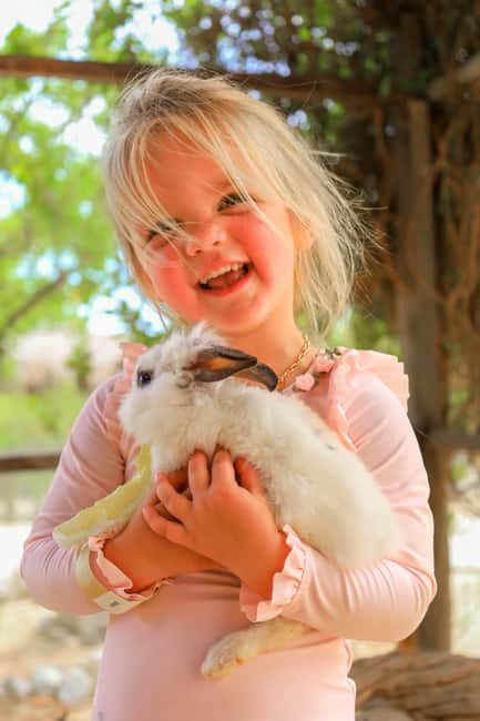 Los Cabos: Animal Encounter & Aqua Park Adventure - Animal Stations: What You Can Expect to Do (And Why It’s Worth It)