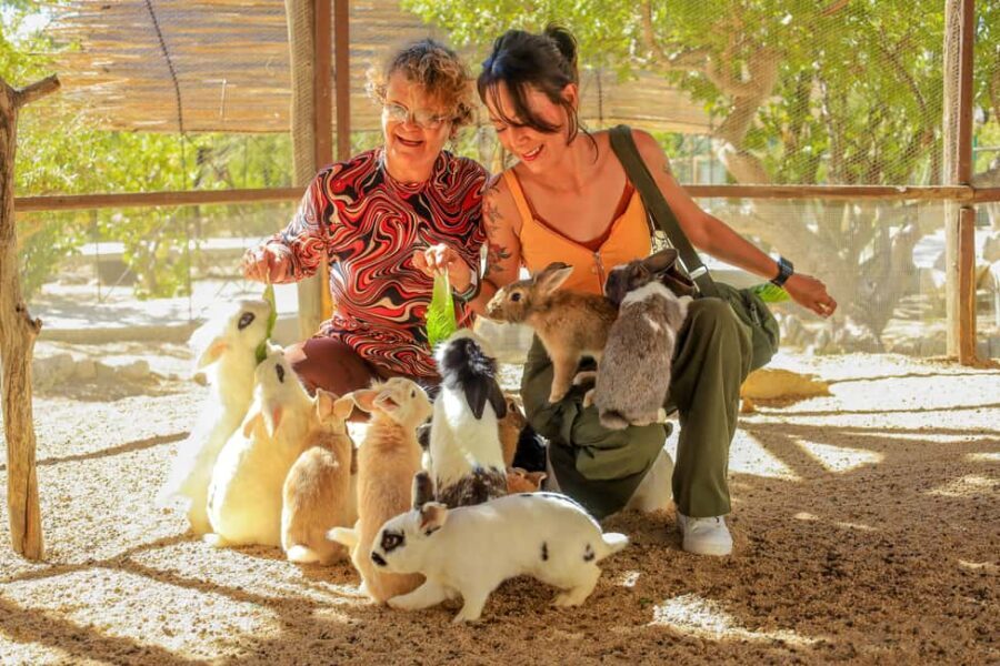 Los Cabos: Animal Encounter & Aqua Park Adventure - Swimming and the Aqua Park Portion: Fun, But Manage Expectations