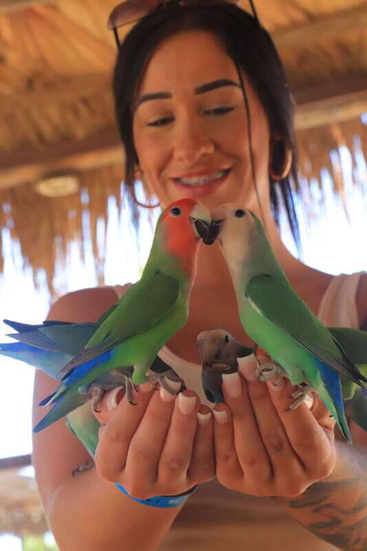 Los Cabos: Animal Encounter & Aqua Park Adventure - Price and Total Cost: The Real Math Before You Book