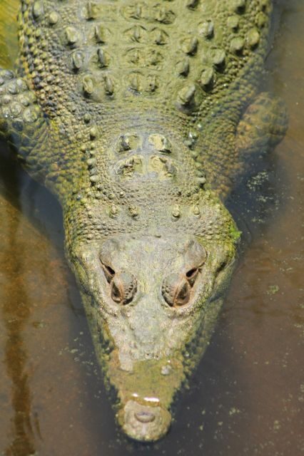 Los Cabos: Animal Encounter & Aqua Park Adventure - What to Bring (So the Day Doesn’t Get Annoying)