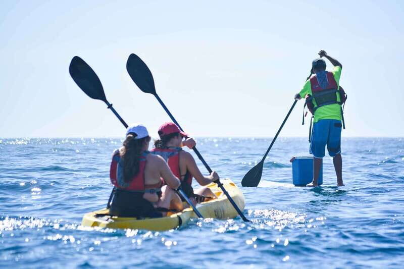 Los Cabos Arch & Playa del Amor Tour by Glass Bottom Kayak - Timing choice: 9 a.m. vs 2 p.m. and how it affects the Arch
