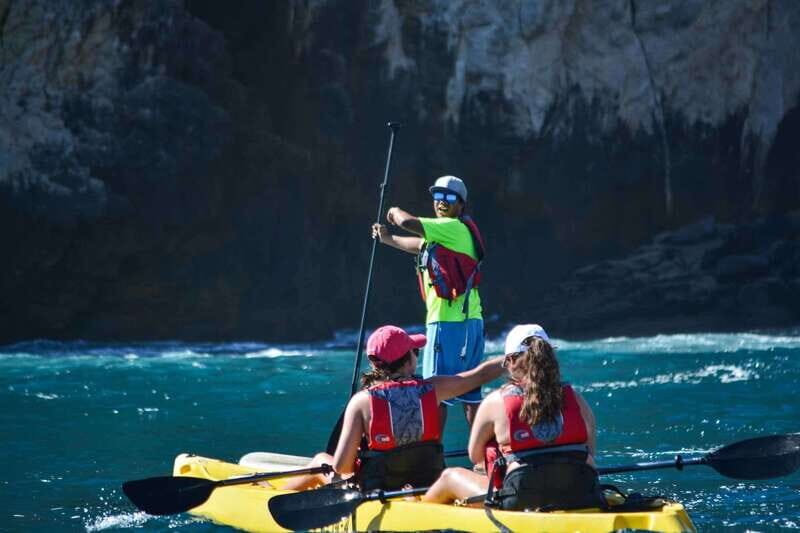 Los Cabos Arch & Playa del Amor Tour by Glass Bottom Kayak - Sea lions on your route: close-up chaos (in a good way)