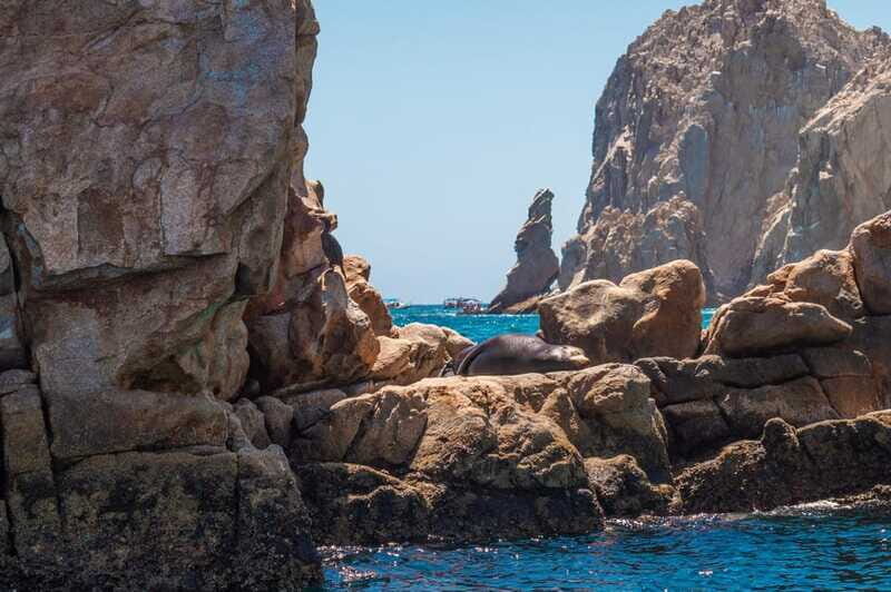 los cabos arch tour & drinks +snorkel tour - Snorkeling for About an Hour: Gear, Safety Briefing, and Reef Time