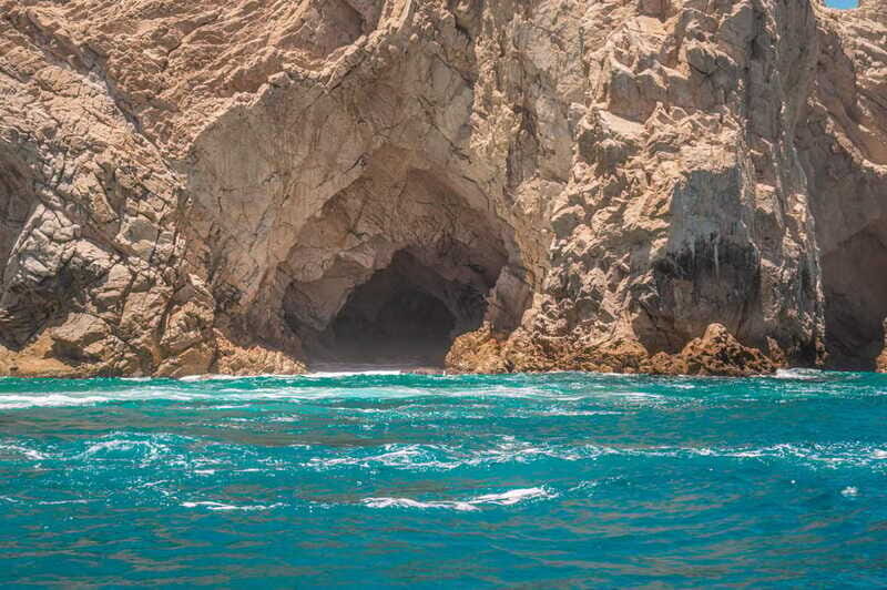 los cabos arch tour & drinks +snorkel tour - Sea Lions, Glass-Bottom Views, and What Makes This Feel Special