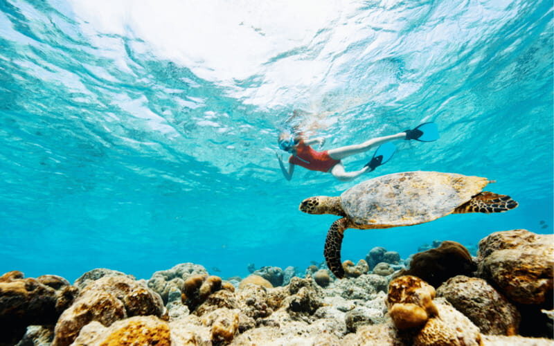 los cabos arch tour & drinks +snorkel tour - Tips to Make Your Day Smoother (and Safer)