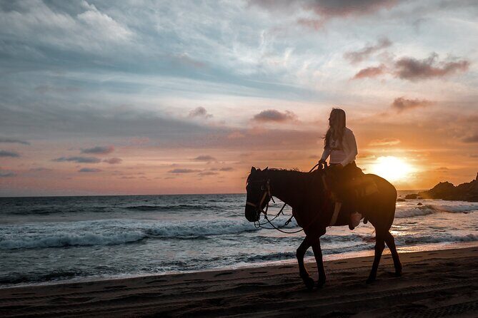 Los Cabos ATV and Pacific Horseback Riding Combo Tour - Price and value: what $111.43 really covers