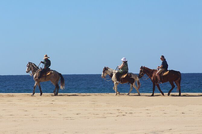Los Cabos ATV and Pacific Horseback Riding Combo Tour - Choosing your departure time: a practical decision