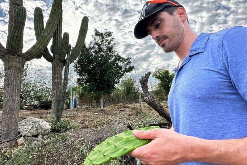 Los Cabos: Azteca Cactus Taco Farm to Table Cooking Class - Sunset Walk on the Pacific Coast: The Finale That Makes the Day Click