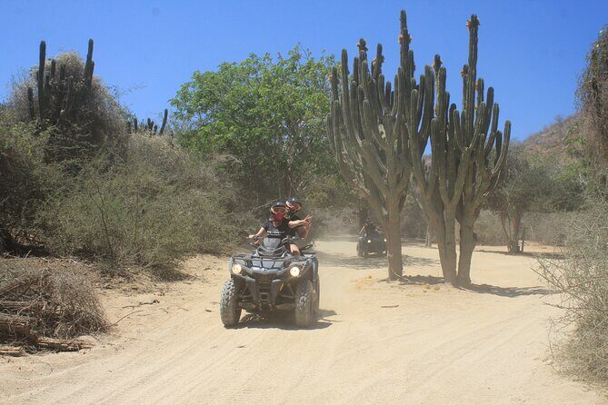 Los Cabos Beach & Desert Tour in Automatic ATV + Tequila Tasting - Price and value: $75 base fare, then the add-ons you should budget
