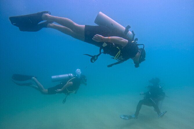 Los Cabos Beginner Scuba Dive Experience - Key highlights you’ll care about