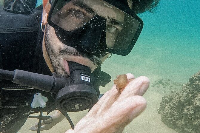 Los Cabos Beginner Scuba Dive Experience - Instructors and captains: the calm factor that makes first time work