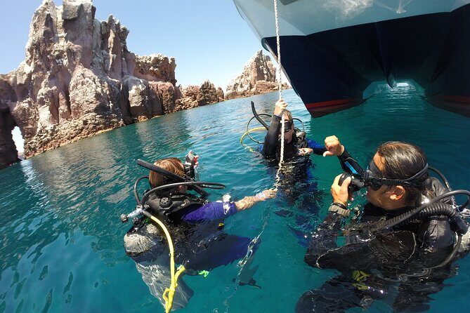 Los Cabos Beginner Scuba Dive Experience - Who should book this beginner scuba session in Cabo (and who might hesitate)