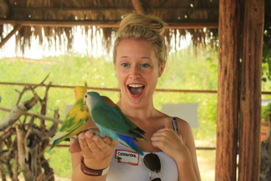 Los Cabos: Camel Ride in the Canyon & Thrilling Water-Slides - Heat, Terrain, and Who Should Skip This One
