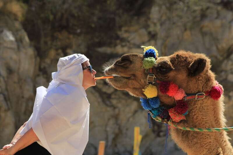 Los Cabos: Camel Ride in the Canyon & Thrilling Water-Slides - The Camel Ride: A Journey Along the Oasis at the Canyon’s Bottom