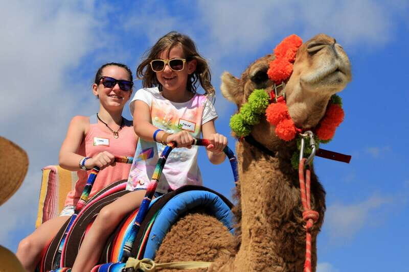 Los Cabos: Camel Ride in the Canyon & Thrilling Water-Slides - Wildlife Sanctuary Time: Macaws, Lovebirds, Iguanas, and Rescued Animals