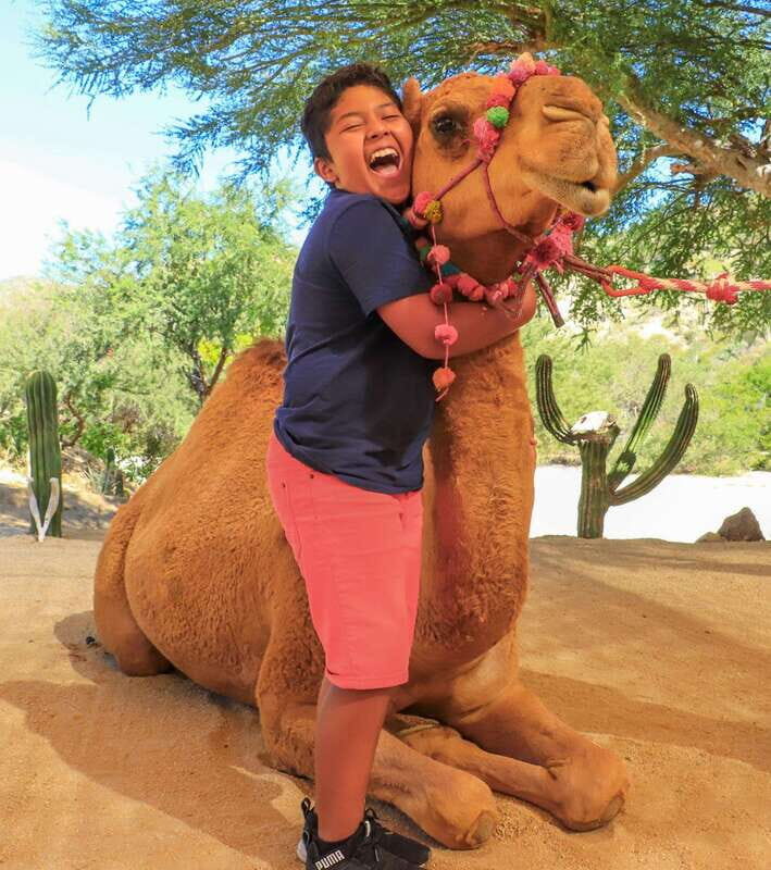Los Cabos: Camel Ride in the Canyon & Thrilling Water-Slides - Water Slides and Splash Time: Swimming and Canyon Fun
