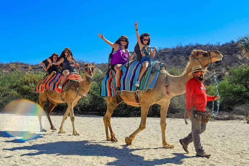 Los Cabos: Camel Ride in the Canyon & Thrilling Water-Slides - Price and Logistics: What $115 Really Covers
