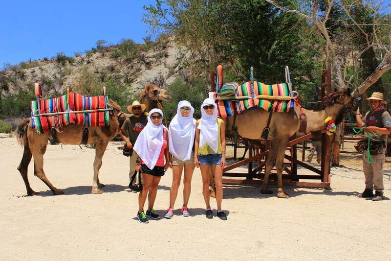 Los Cabos: Camel Ride in the Canyon & Thrilling Water-Slides - Pickup, Timing, and the Van Reality Check