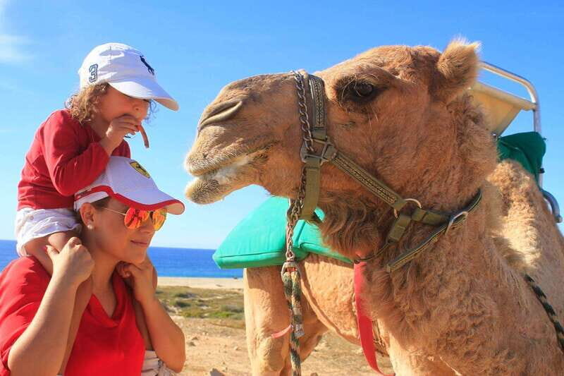 Los Cabos: Camel Ride Safari with Lunch and Tequila Tasting - Why a Camel Safari in Los Cabos Works (and When It Doesn’t)