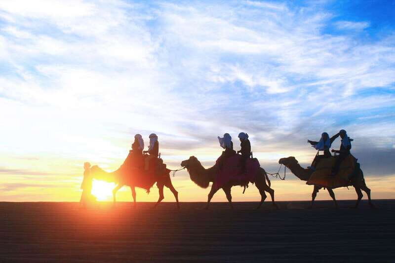 Los Cabos: Camel Ride Safari with Lunch and Tequila Tasting - The Pacific Camel Ride: Ocean Breeze and Controlled Fun