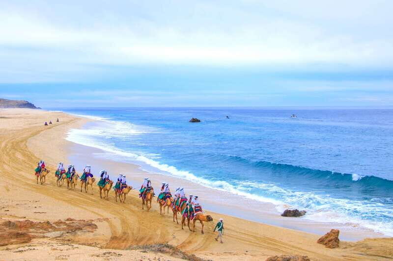 Los Cabos: Camel Ride Safari with Lunch and Tequila Tasting - Desert Nature Hike in the Ecological Reserve