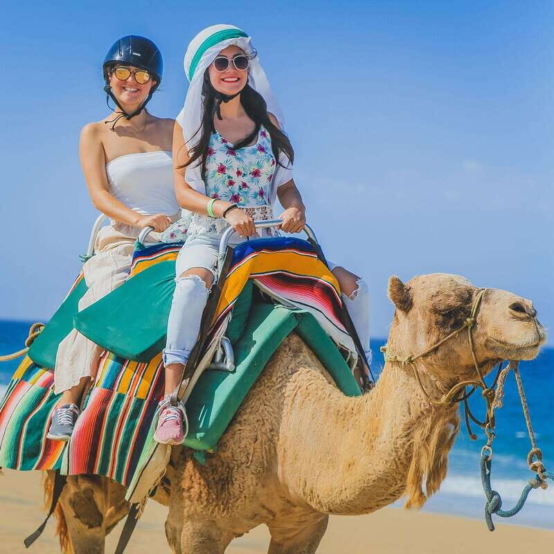 Los Cabos: Camel Ride Safari with Lunch and Tequila Tasting - Tequila Tasting Course: History, Production, and How to Sip