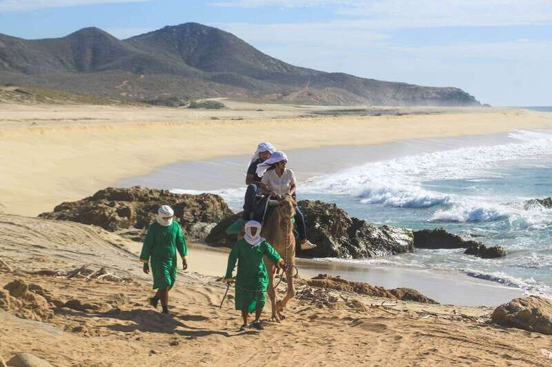 Los Cabos: Camel Ride Safari with Lunch and Tequila Tasting - Price and the $25 Park Fee (Bring Cash)