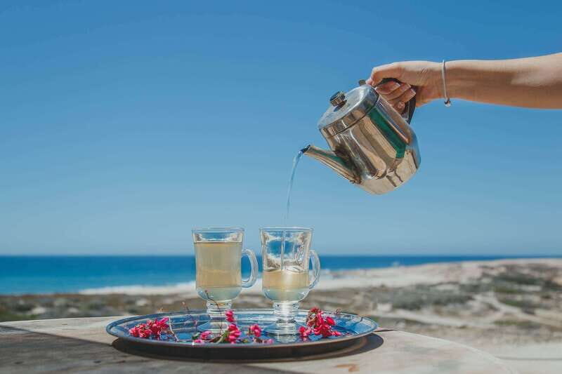Los Cabos: Camel Ride Safari with Lunch and Tequila Tasting - Who Should Book This Los Cabos Camel Ride and Who Should Skip