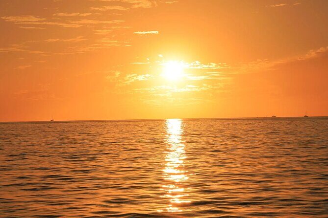 Los Cabos Catamaran Cruise with Open Bar & Light Snack - Should you book this Cabo catamaran cruise?