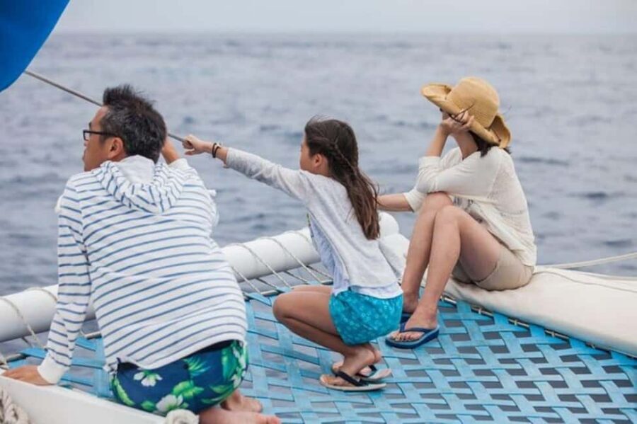 Los Cabos: Catamaran Whale Watching Cruise - Mothers and calves: the emotional highlight you can actually plan for