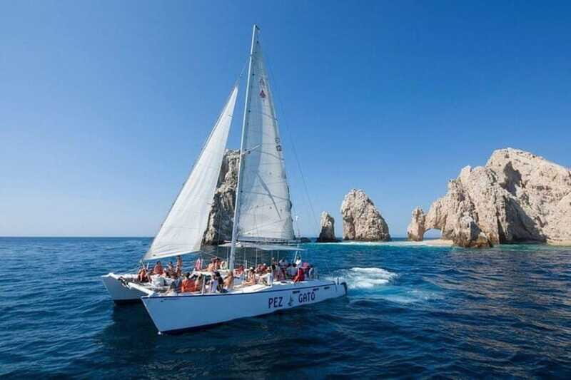 Los Cabos: Catamaran Whale Watching Cruise - Practical tips so your whale watch feels smooth