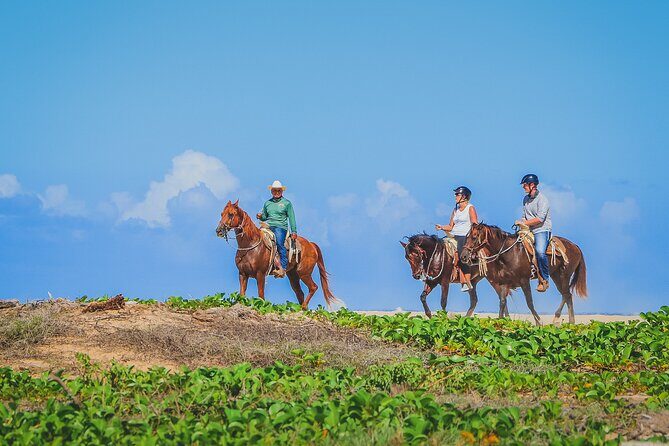 Los Cabos Combo: ATV + Horseback Riding - Back at the Site: Restrooms, Tequila Tasting, and That Photo Moment