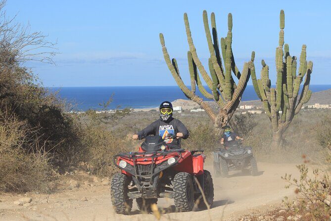 Los Cabos - COMBO Horseback Riding & ATV Tour - Los Cabos ATV + horseback: why this combo works