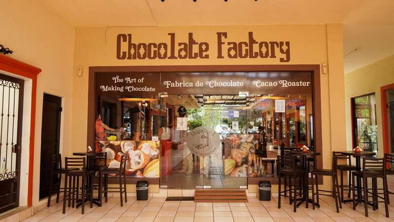 Los Cabos Famous Arch cruise, City tour and Lunch - Photo stop at Cabo San Lucas, then straight into the fun