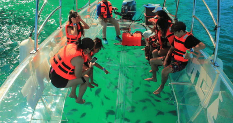 Los Cabos: Get to know the arch on the iconic transparent boat tour - Price and value: is $44 worth a 1-hour crystal boat tour?