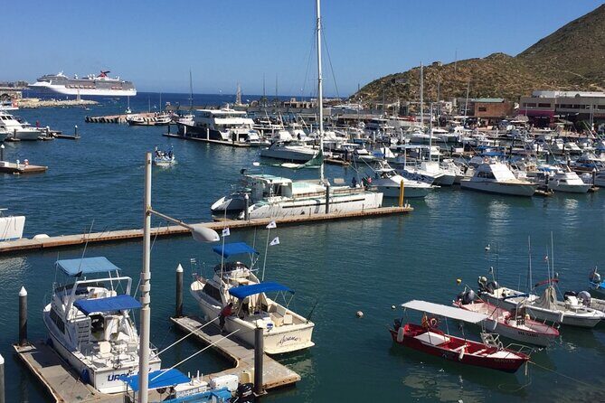 Los Cabos Half-Day Tour Discovering San Jose and San Lucas - Cabo San Lucas plazas, the Marina, and the lunch + tequila pairing