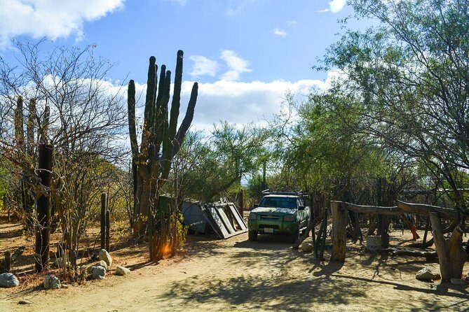 Los Cabos: Hiking at the Fox Canyon with Waterfall - Rancho Ecologico Sol de Mayo: Start Where the Desert Shows Off