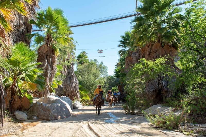 Los Cabos: Horseback Riding in Canyon a Mexican Experience - Price and value: what the $115 covers, plus the extras